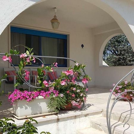 Casa Vacanze MARESOLE Mattinata Exterior foto