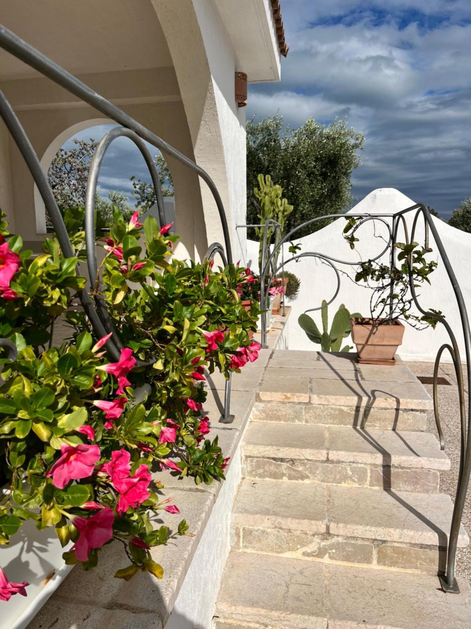 Casa Vacanze MARESOLE Mattinata Exterior foto