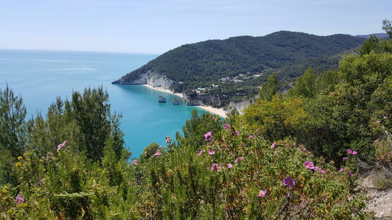 Casa Vacanze MARESOLE Mattinata Exterior foto